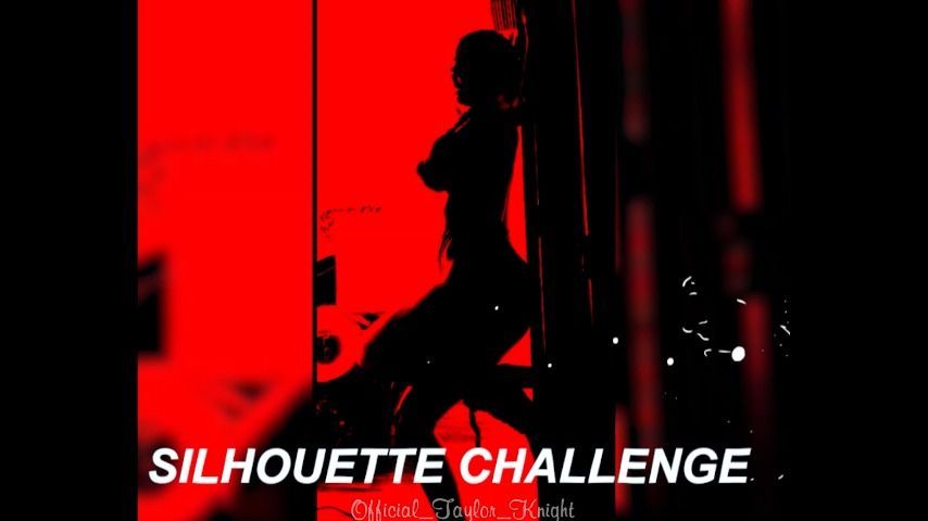 Goddess Taylor's Silhouette Challenge