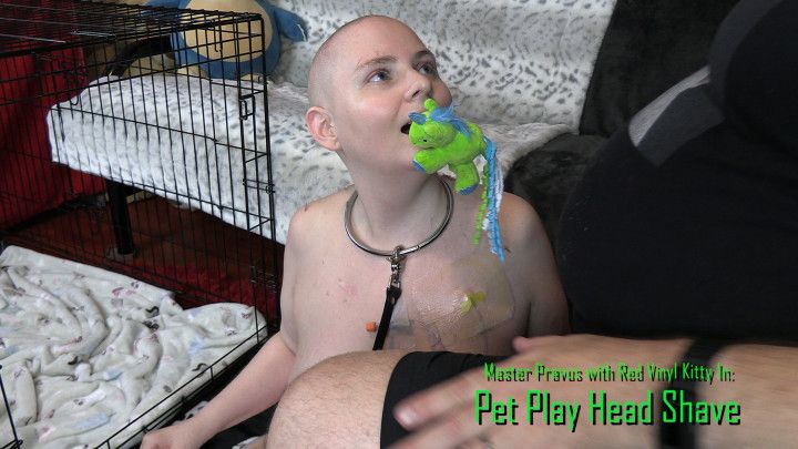 Pet Play Head Shave