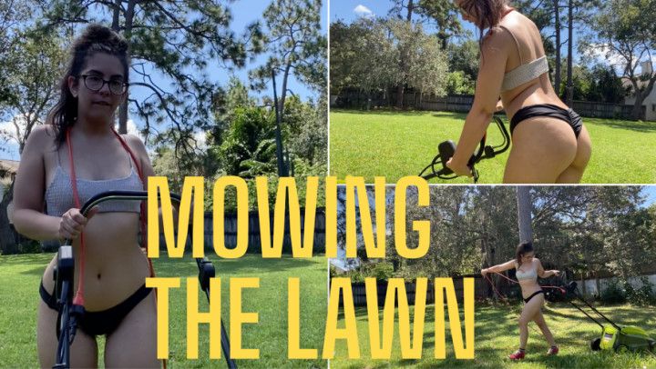 MOWING THE LAWN