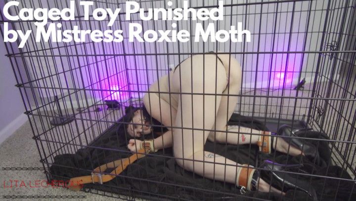 Caged Toy Punished by Mistress Roxxxie Moth