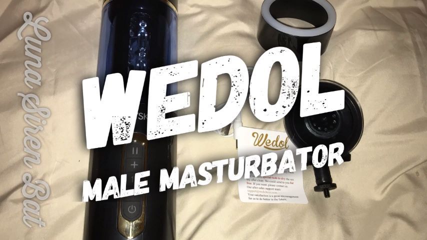 WeDol Male Masturbator Review