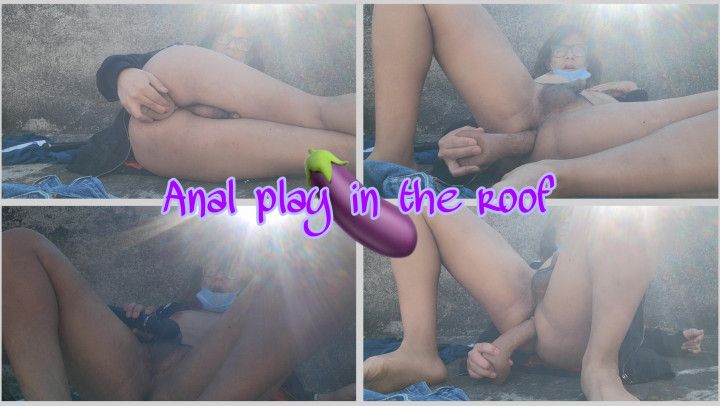 Anal play in the roof