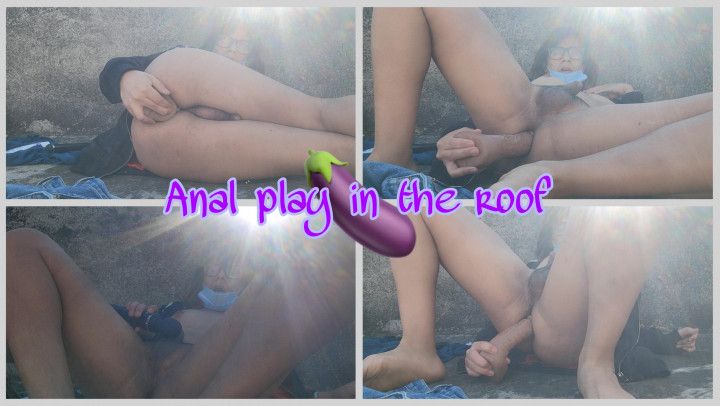 Anal Play in the roof