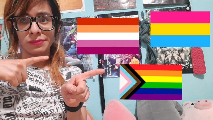 MV Vlog.- Pride Flags