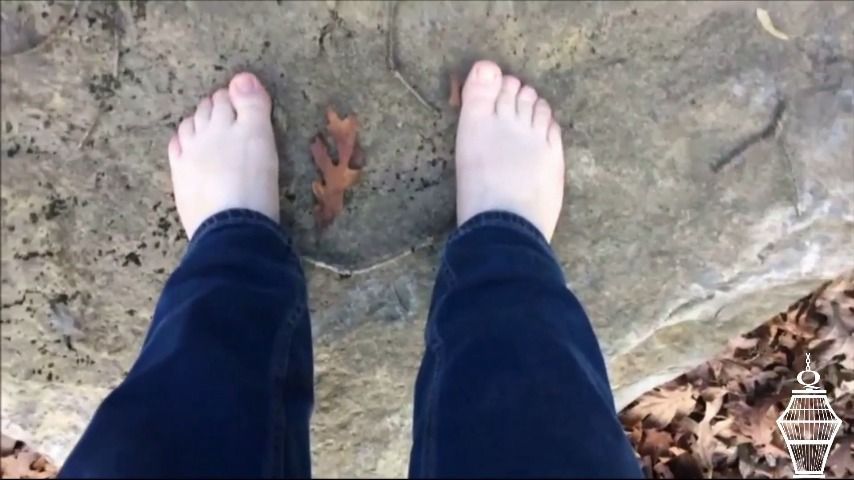 Barefoot Nature Walk