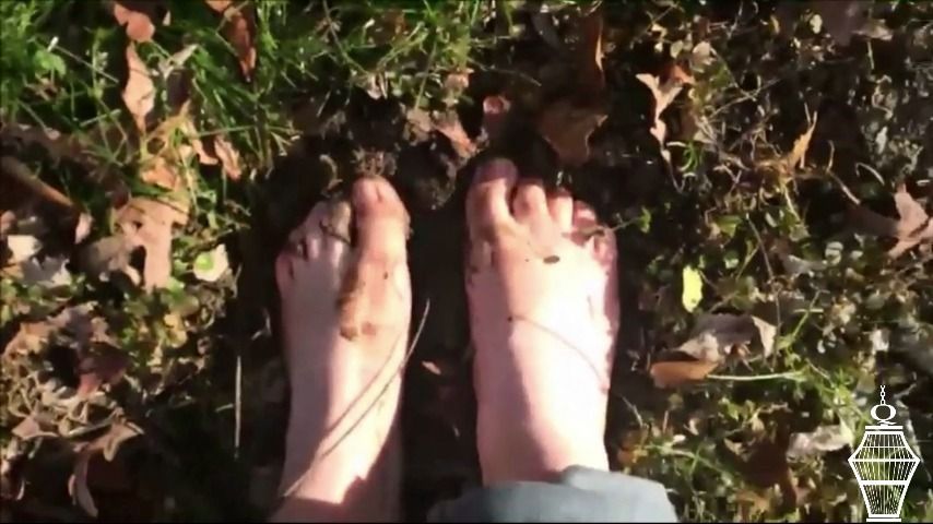 HD Barefoot Nature Walk