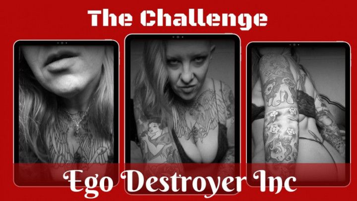 Ego Destroyer Inc - The Challenge