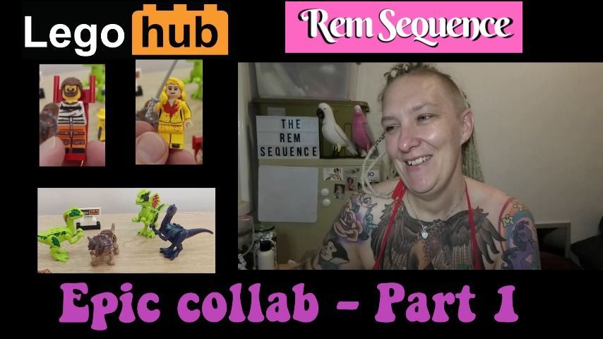 Rem Sequence and LegoHub Epic Collab 1