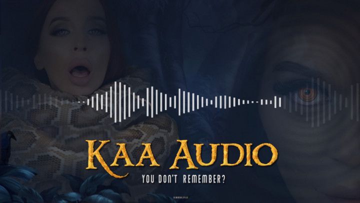 Kaa Audio - You don't Remember