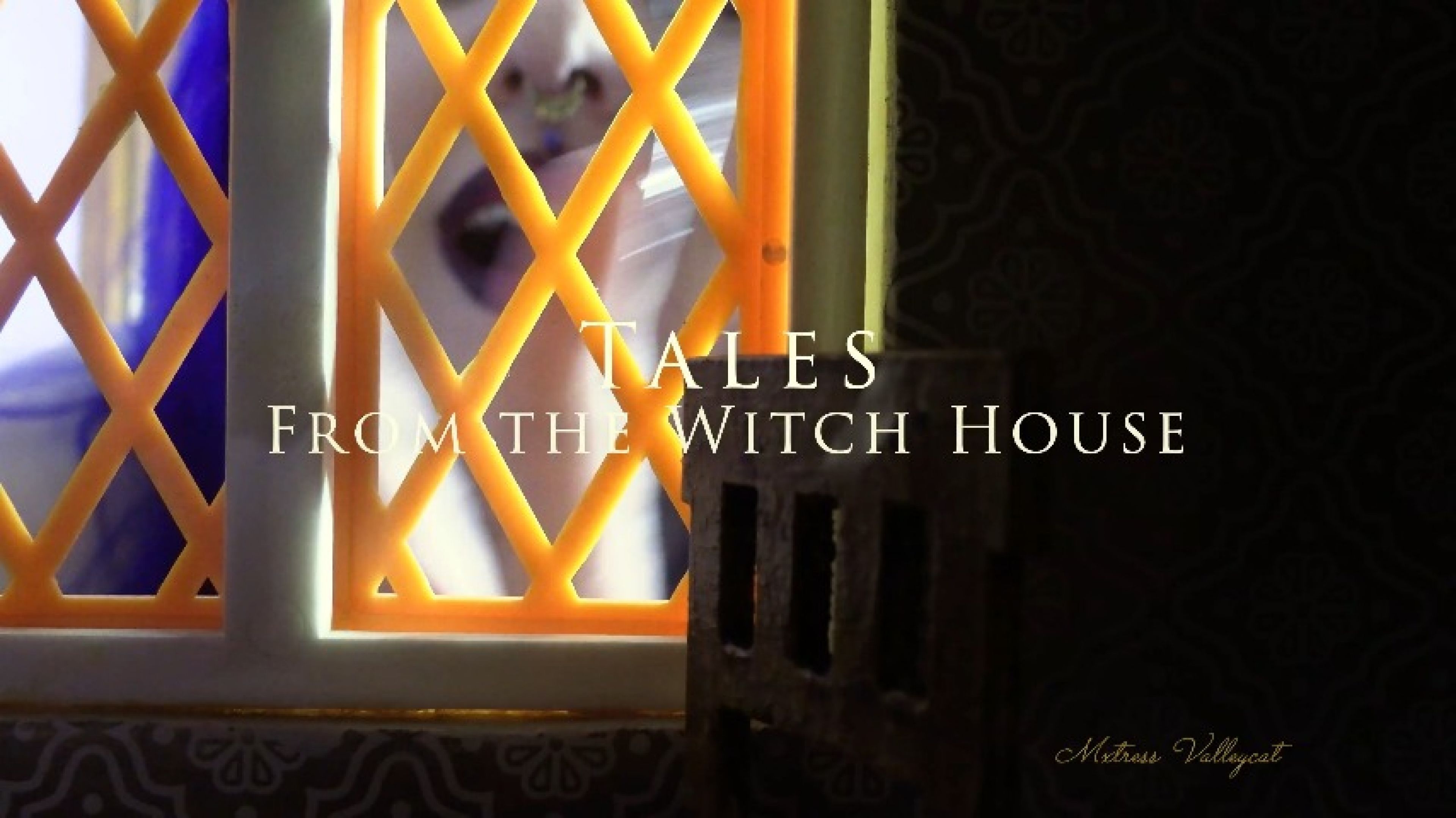 Tales From The Witch House