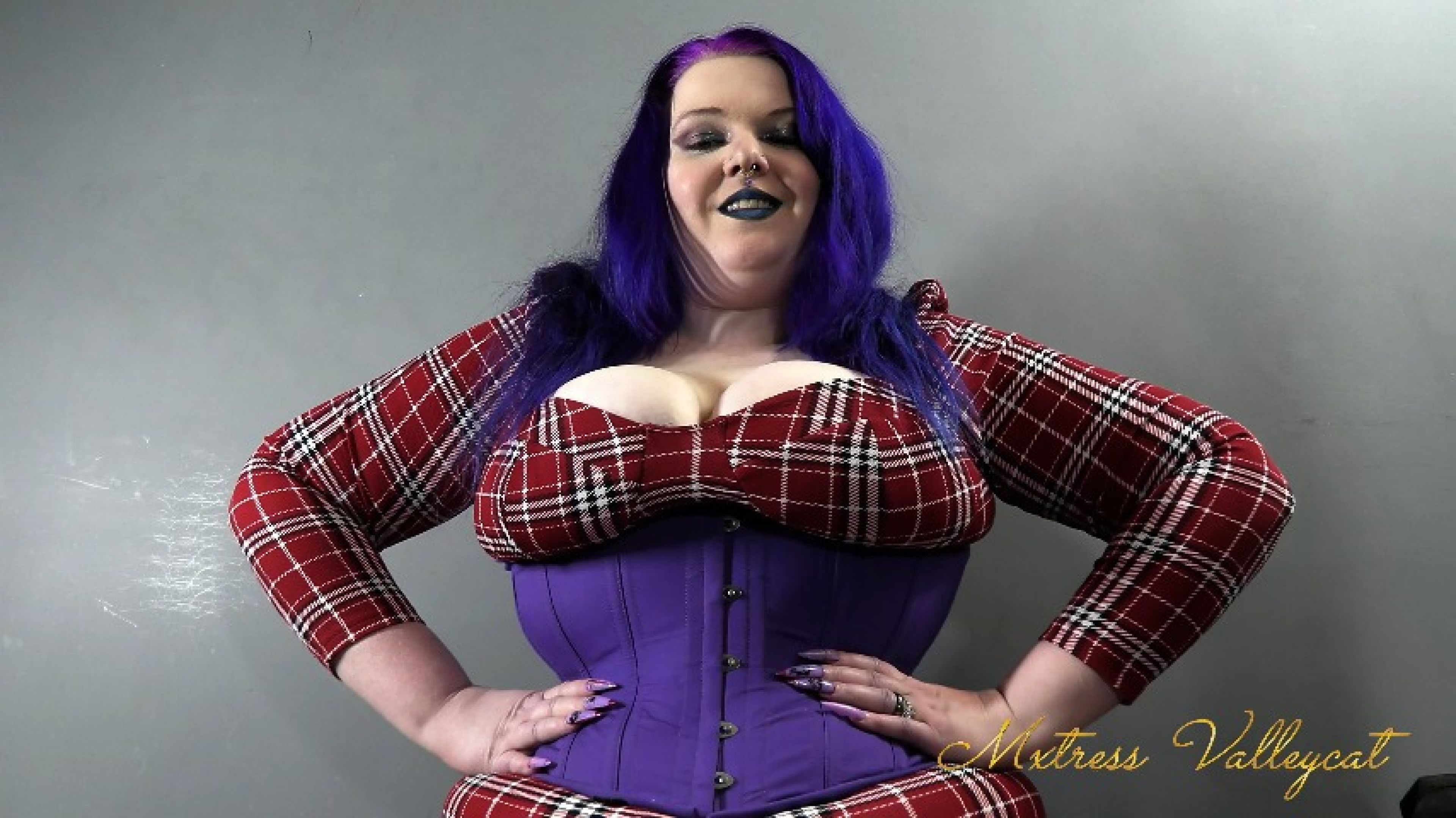 Purple Hourglass Corset