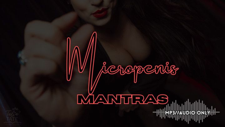Micropenis Mantras SPH Verbal Humiliation Audio Only