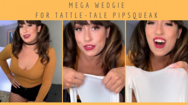 Massive Wedgie for Tattle-Tale Pipsqueak