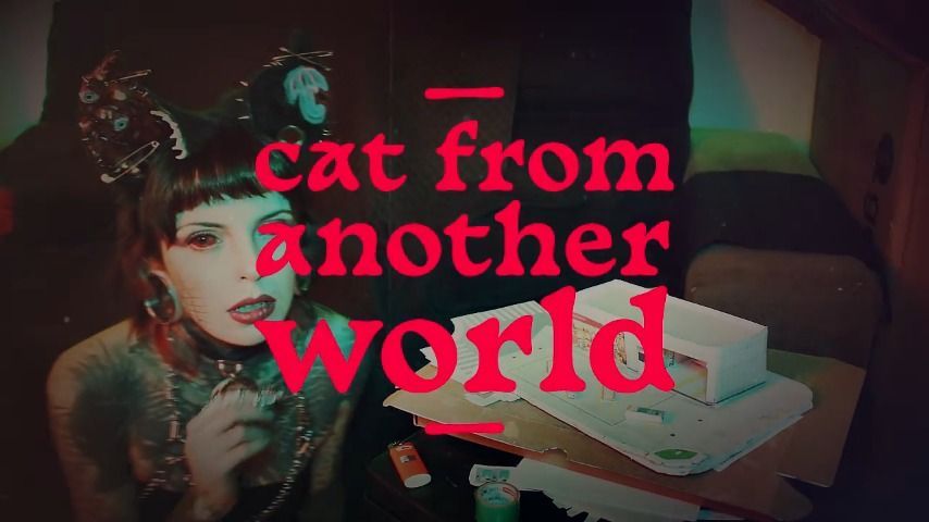 Cat from another world