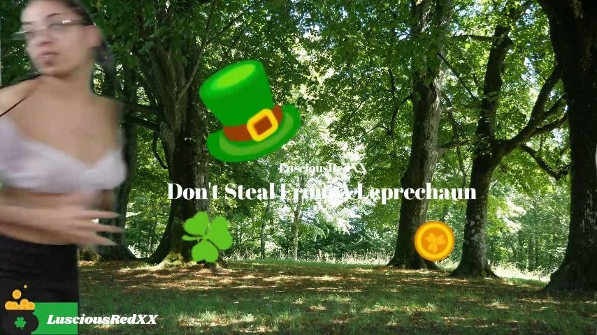 Don't Steal From A Leprechaun