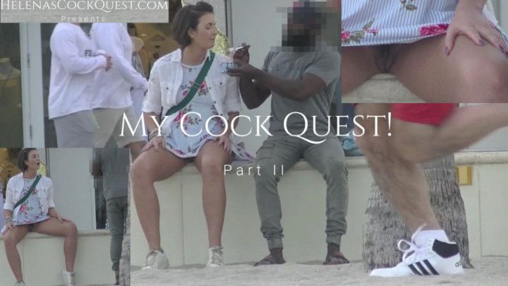 My Cock Quest 1 Pt2 - Flashing Strangers