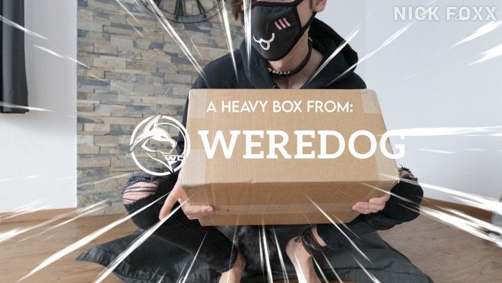 Unboxing the Weredog gear