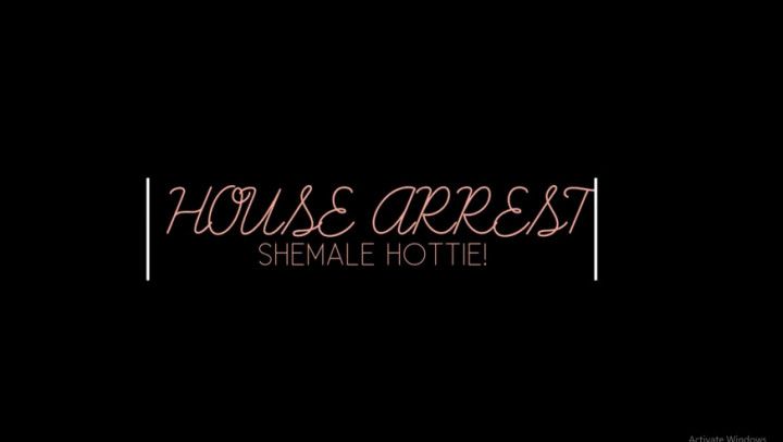 House Arrest SHEMALE HOTTIE