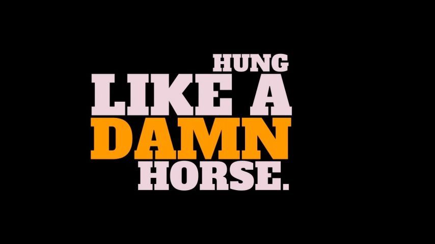 Hung Like A Damn Horse