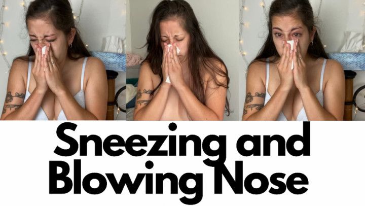 Sneezing and Blowing Nose