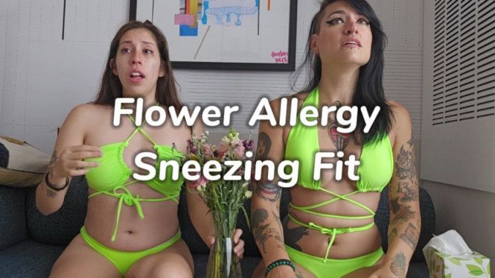 Flower Allergy Sneezing Fit