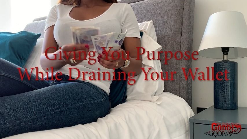 Giving You Purpose - Wallet Draining