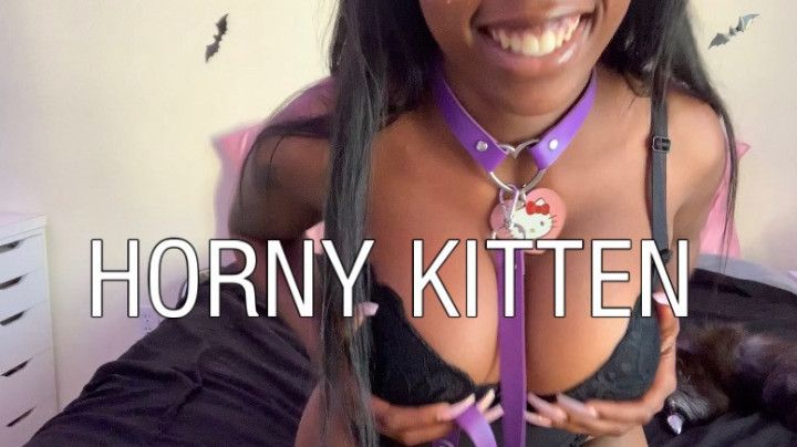 Horny Kitten