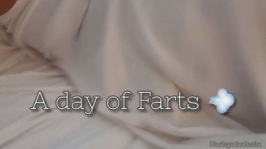 A day of farts