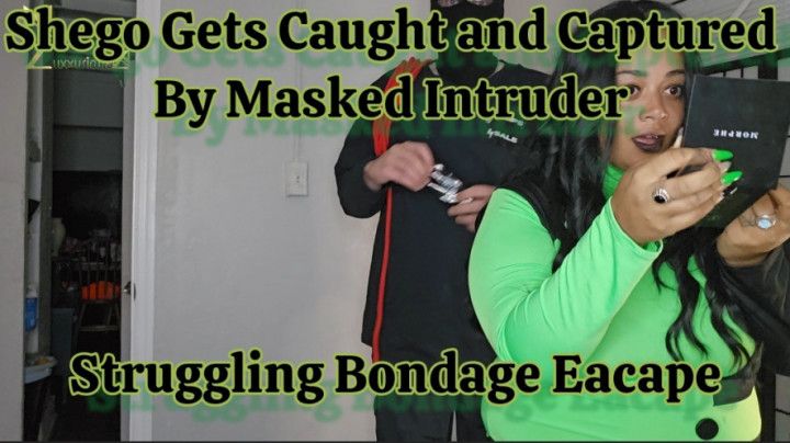 Shego Gets Caught and Captured By Masked Intruder