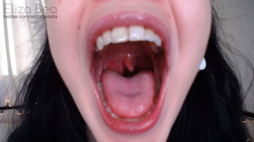 Up Close Uvula and Mouth