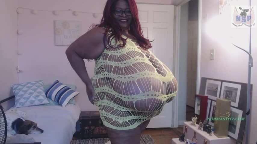 NORMA STITZ SHOPPED FOUND NEW DRESS