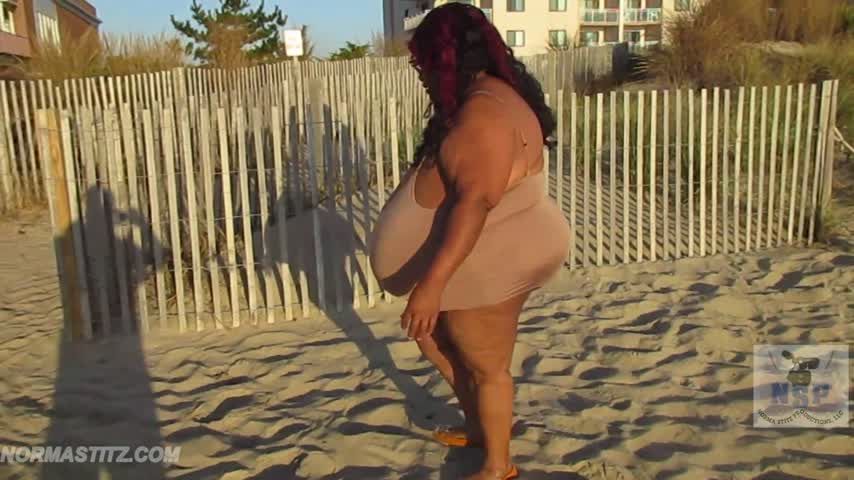 NORMA STITZ  BEACH SUNRISE MORNING SOUND