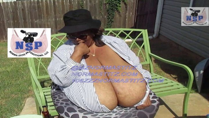 THE PERFECT SUNNY DAY GODDESS NORMA STITZ