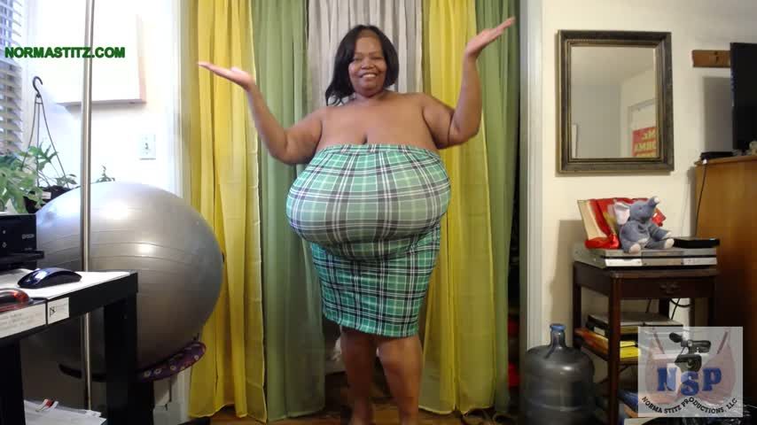 NORMA STITZ SHE READY