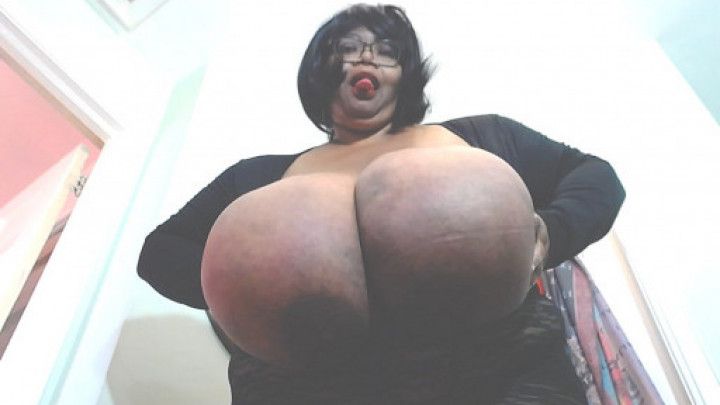 NORMA STITZ LACE PANTS HUG TITS SPIDER