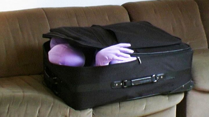 flexi suitcase spandex doll
