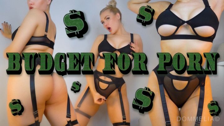 Budget For Porn