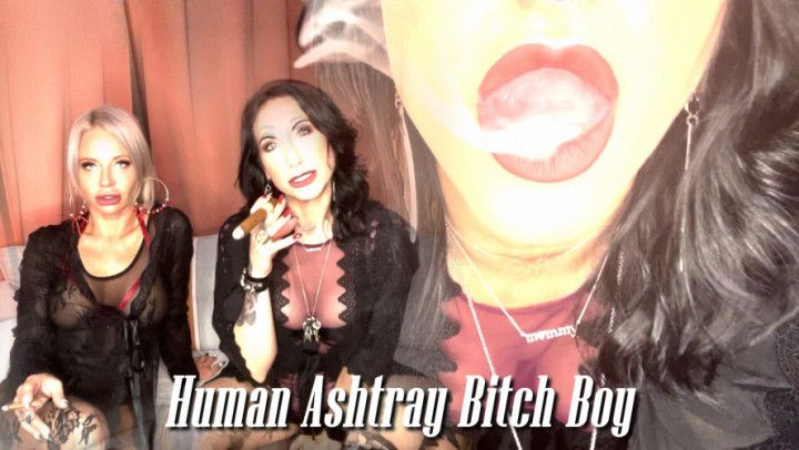 HUMAN ASHTRAY BITCH BOY *HD 1080