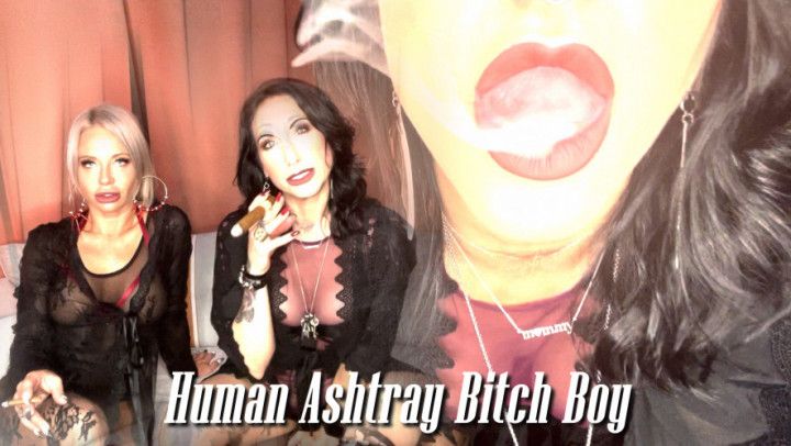 HUMAN ASHTRAY BITCH BOY *HD 720