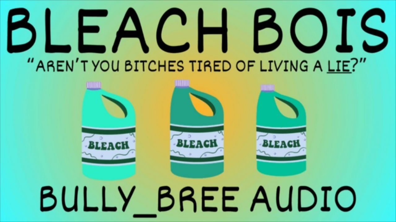 Bleach Bois Audio