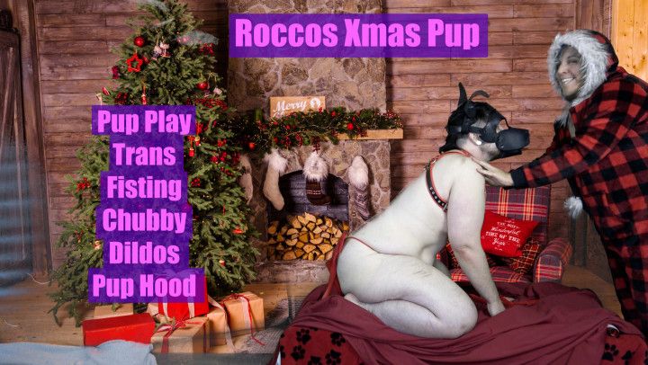 Roccos Xmas Pup