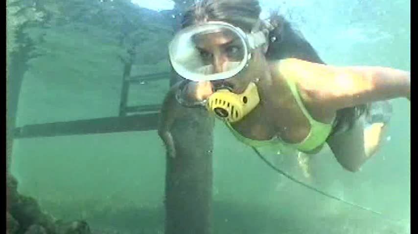 Long Hose Reg Diving Underwater