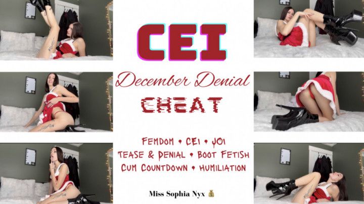 CEI December denial cheat