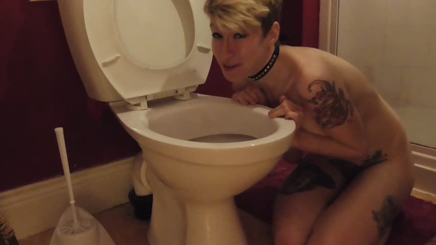 Toilet Licking Skank + Head Flushing