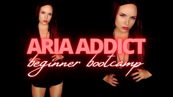 Aria Addict: Beginner Bootcamp