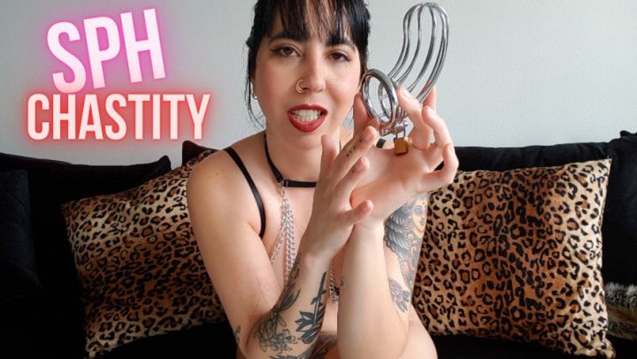 Shrimp Dicks Belong in Chastity - SPH