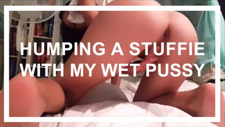 Humping a Stuffie with My Wet Pussy