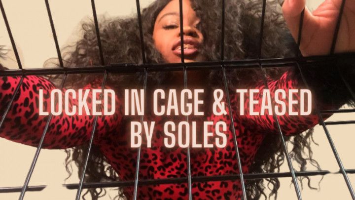 Caged And Teased By Soles