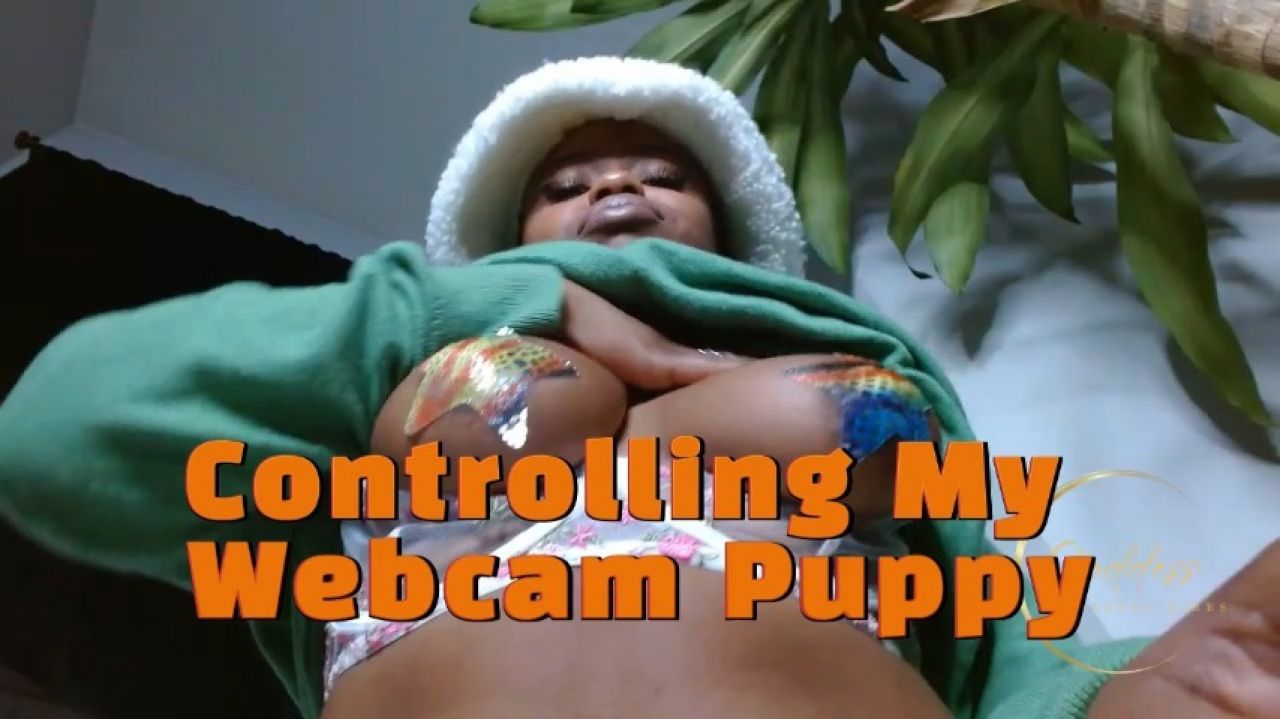 Cam Show: Controlling My Webcam Puppy