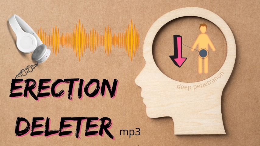 Erection Deleter audio file